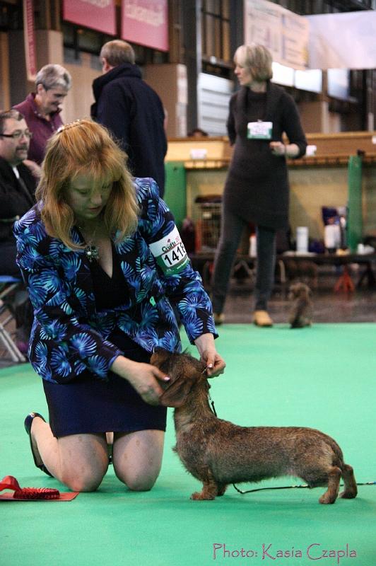 Crufts2011_2 1401.jpg